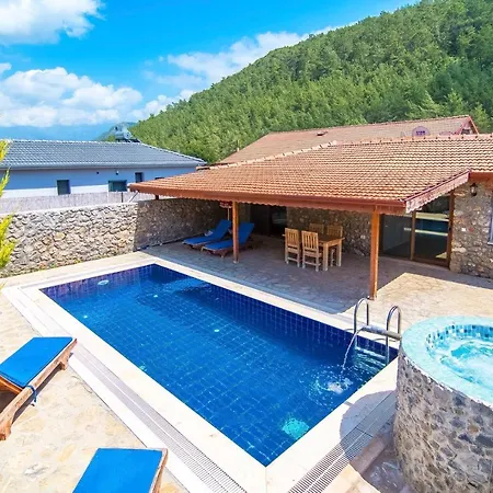 2+1 Ic Ve Dis Jakuzili Villa