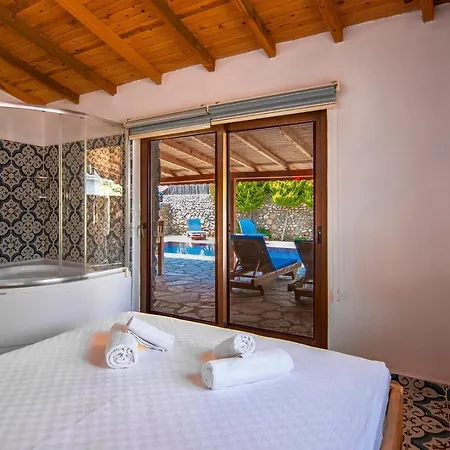 2+1 Ic Ve Dis Jakuzili Villa