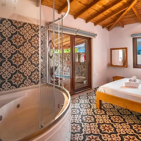 2+1 Ic Ve Dis Jakuzili Villa