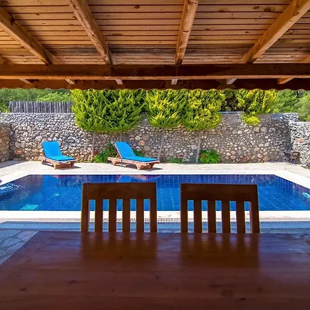 2+1 Ic Ve Dis Jakuzili Villa *