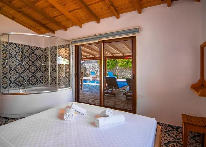 2+1 Ic Ve Dis Jakuzili Villa
